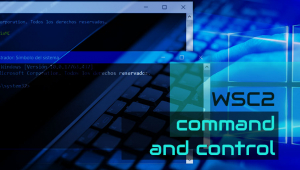 `WSC2 command and control´, nuevo post en el blog Security Garage