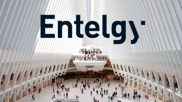 Descubre el valor en cadena de Entelgy, The BusinessTech Consultancy