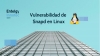 Detectada una vulnerabilidad de Snapd en Linux