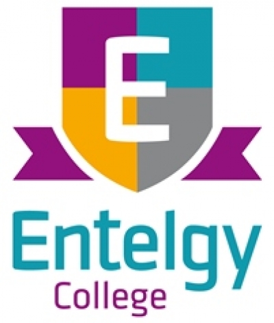 ¿Qué sabes de Entelgy College?