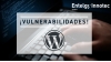Vulnerabilidades en WordPress